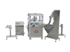 FRTB-SD2-B Cap Liner Cutting And Inserting Machine